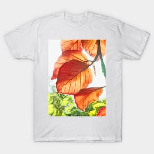 The Beauty of Nature T-Shirt